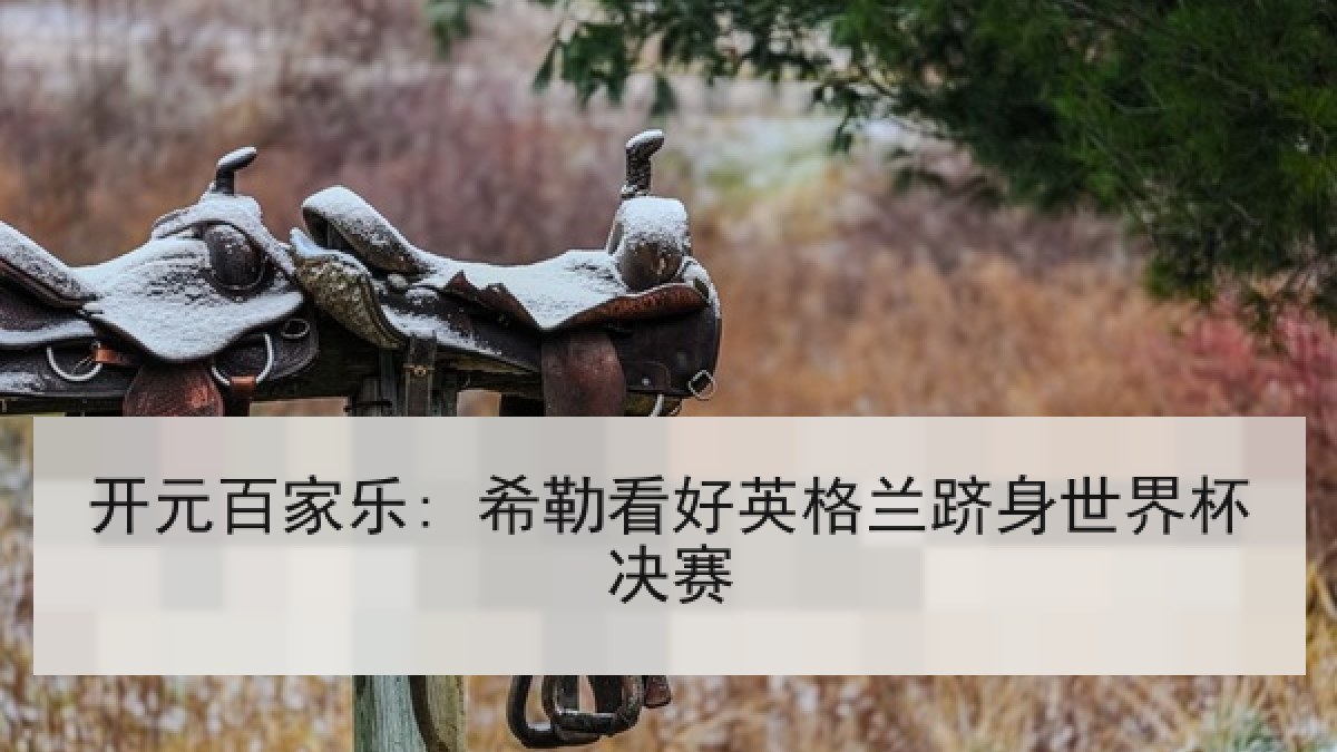 开元百家乐: 希勒看好英格兰跻身世界杯决赛