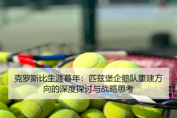克罗斯比生涯暮年：匹兹堡企鹅队重建方向的深度探讨与战略思考