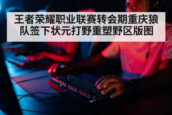 professional gamer