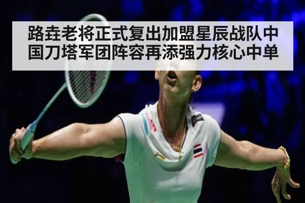路垚老将正式复出加盟星辰战队中国刀塔军团阵容再添强力核心中单