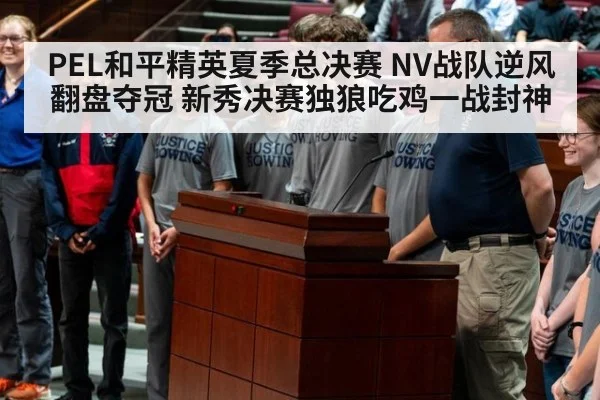 PEL和平精英夏季总决赛 NV战队逆风翻盘夺冠 新秀决赛独狼吃鸡一战封神